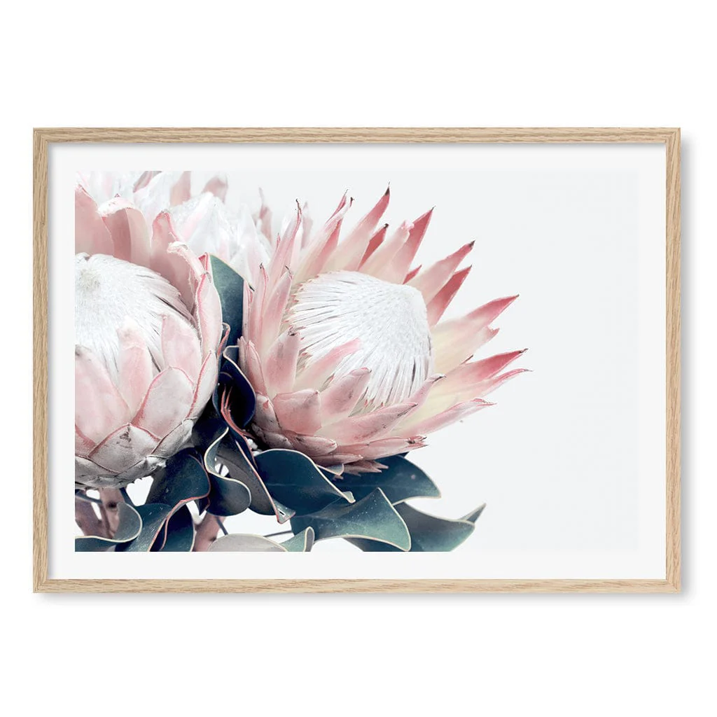 Protea Wall Art Print – Protea Flowers Botanical Artwork - Image 19