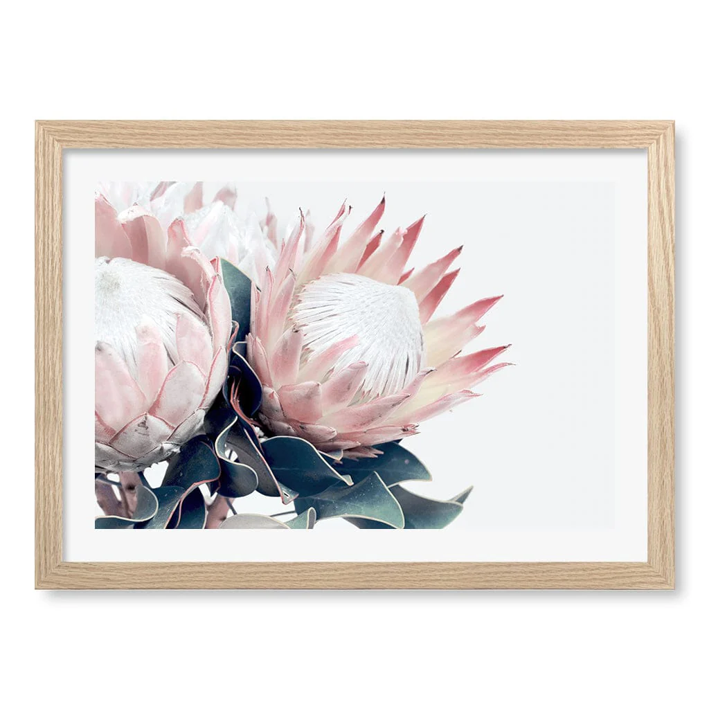 Protea Wall Art Print – Protea Flowers Botanical Artwork - Image 20