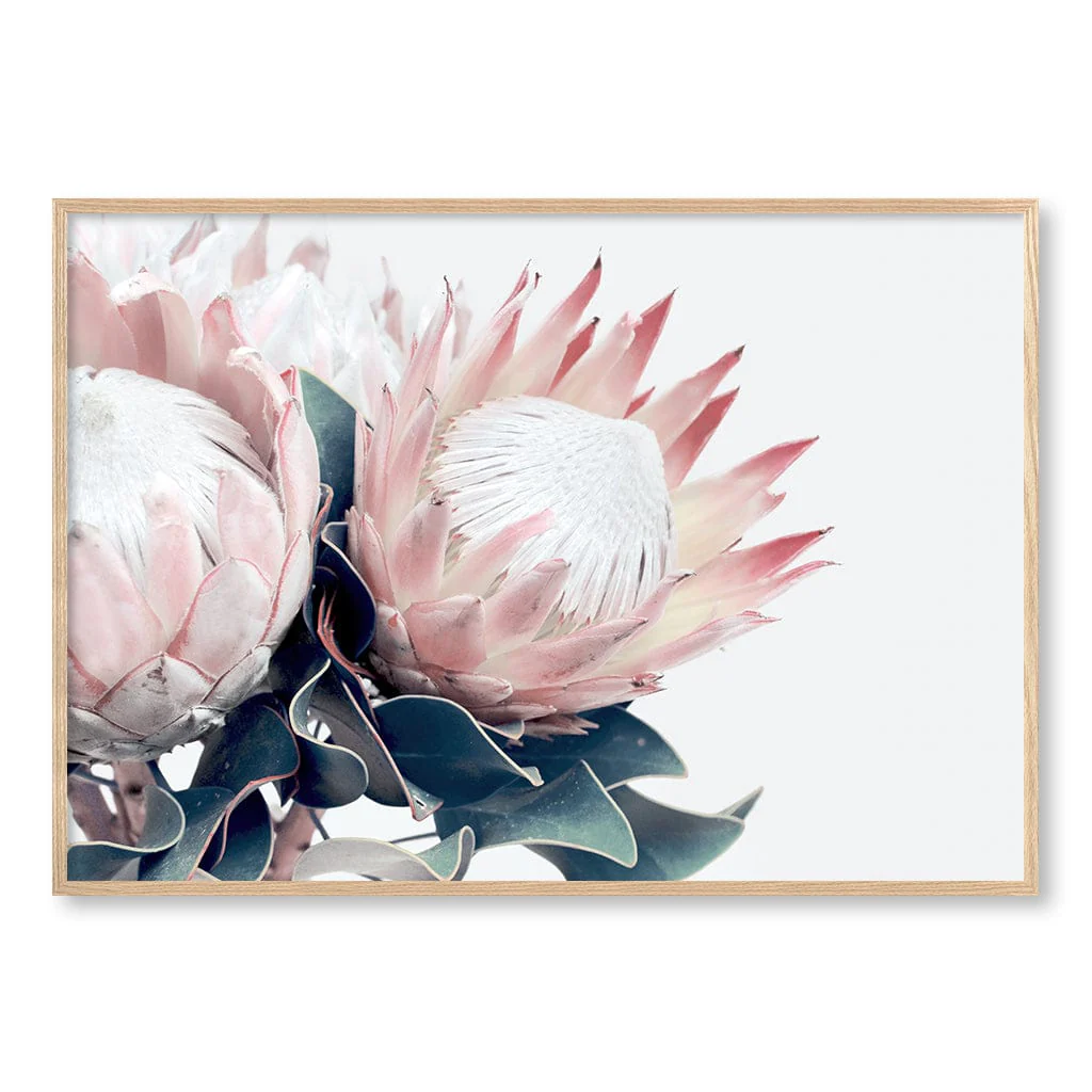 Protea Wall Art Print – Protea Flowers Botanical Artwork - Image 28