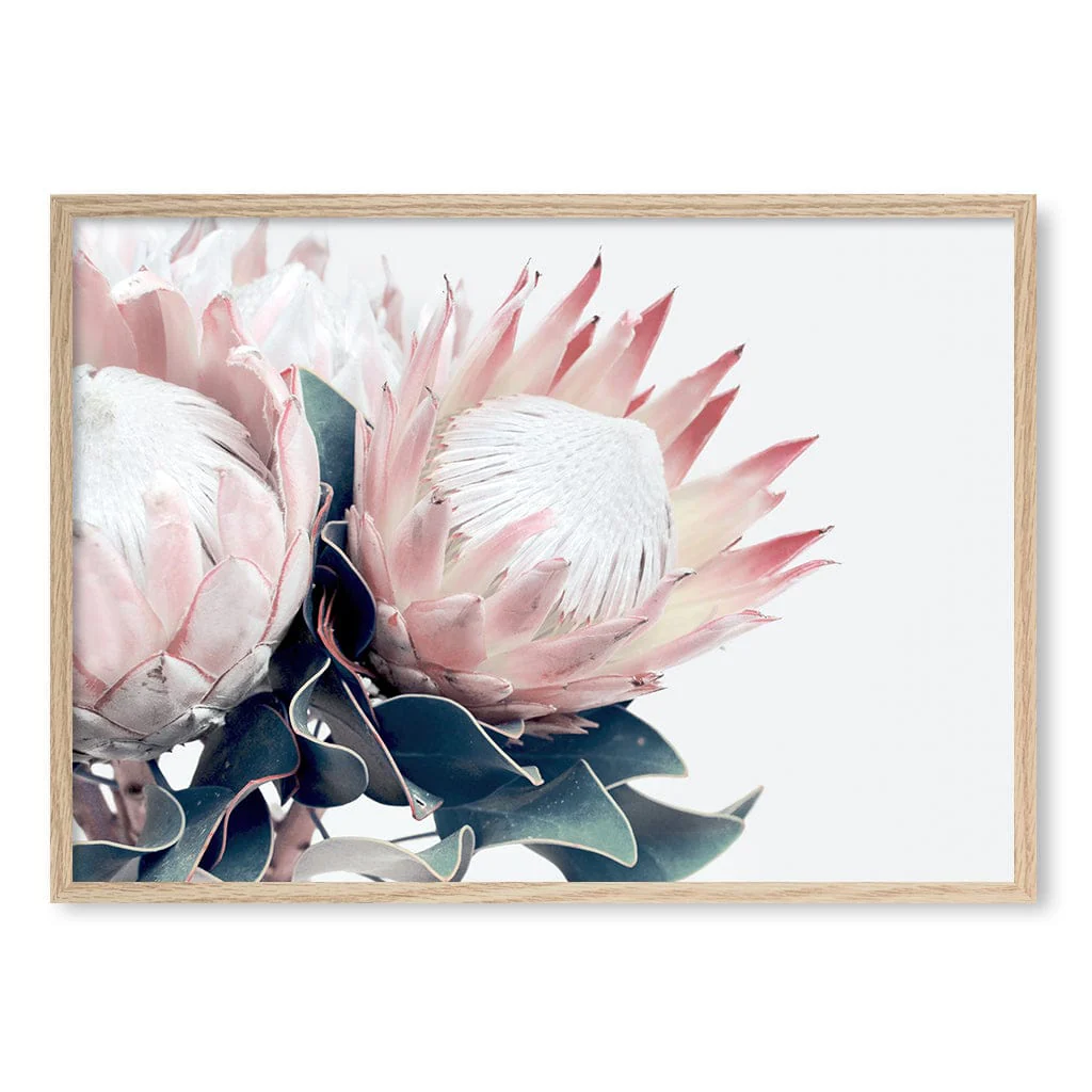 Protea Wall Art Print – Protea Flowers Botanical Artwork - Image 29