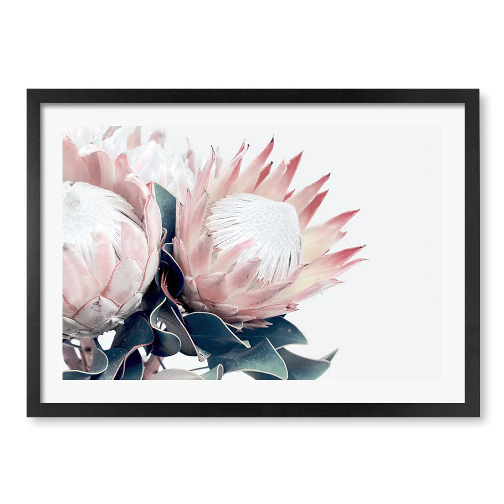Protea Wall Art Print – Protea Flowers Botanical Artwork - Image 35