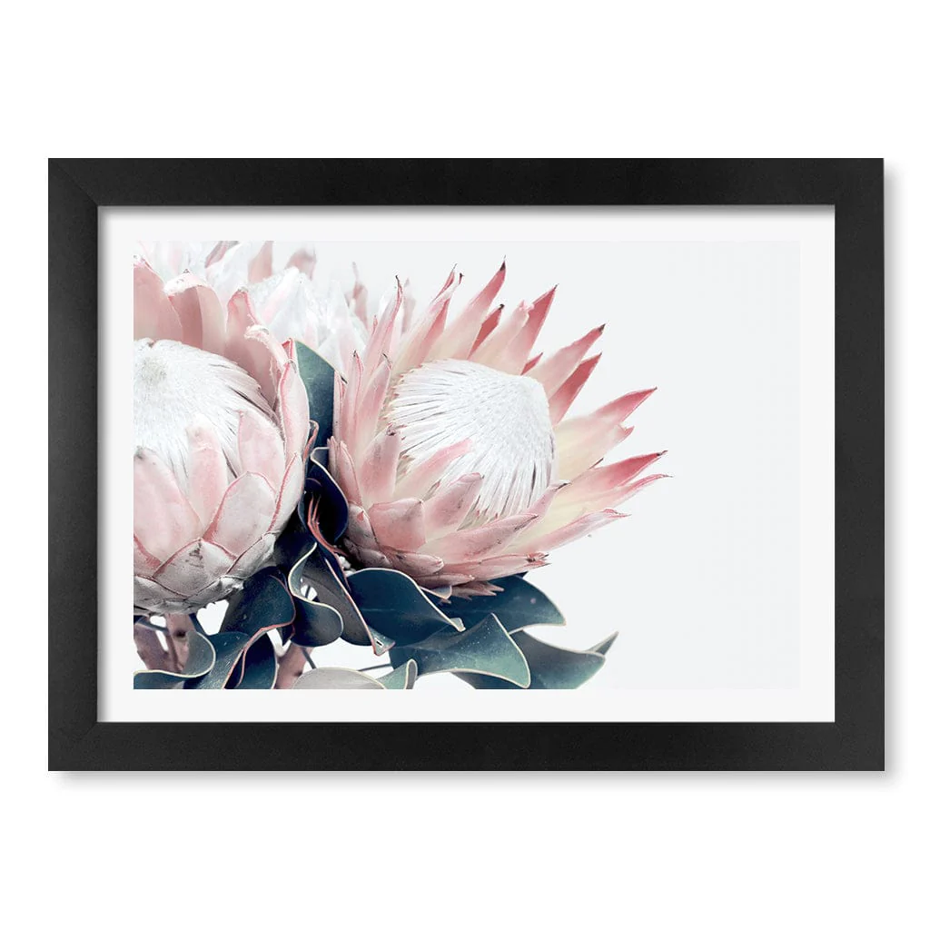 Protea Wall Art Print – Protea Flowers Botanical Artwork - Image 37