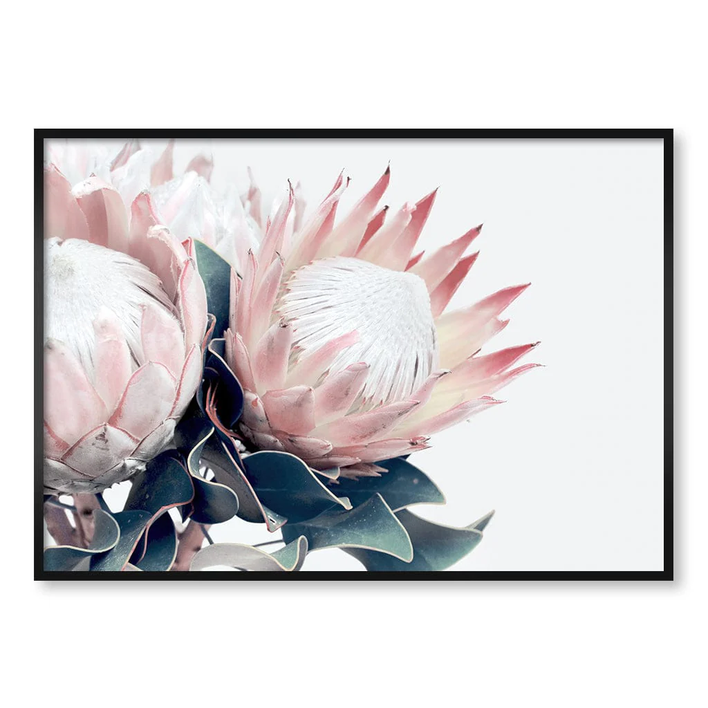 Protea Wall Art Print – Protea Flowers Botanical Artwork - Image 38