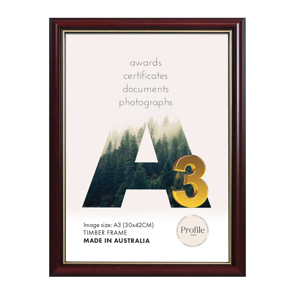 Traditional Burgundy Gold Certificate Picture Frame - Image 4