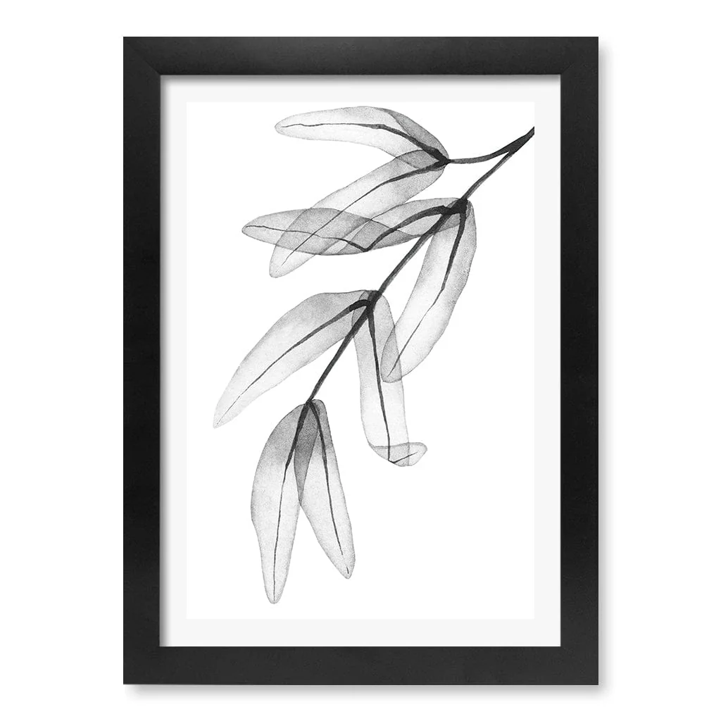 Transparent Eucalyptus Feather Leaves Wall Art Print - Image 34