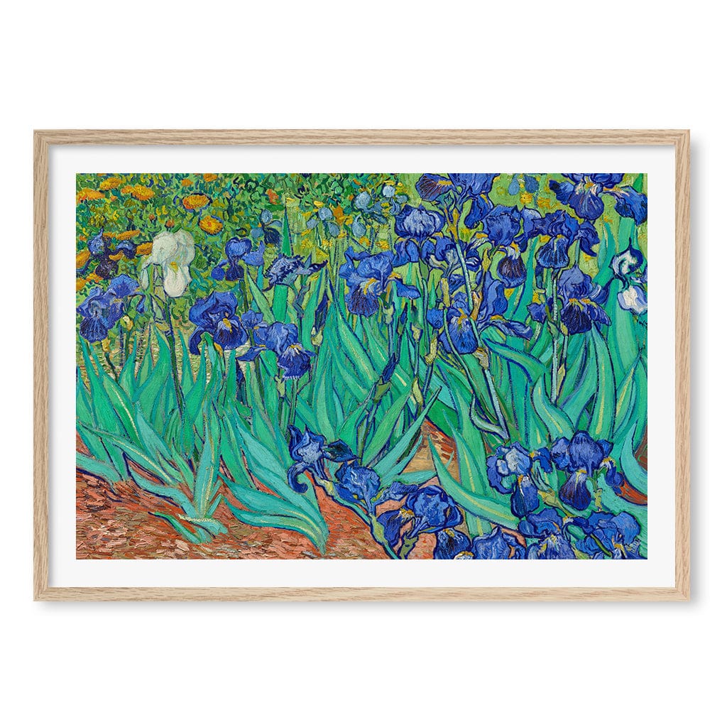 Irises - Vincent van Gogh Art Print - Image 12
