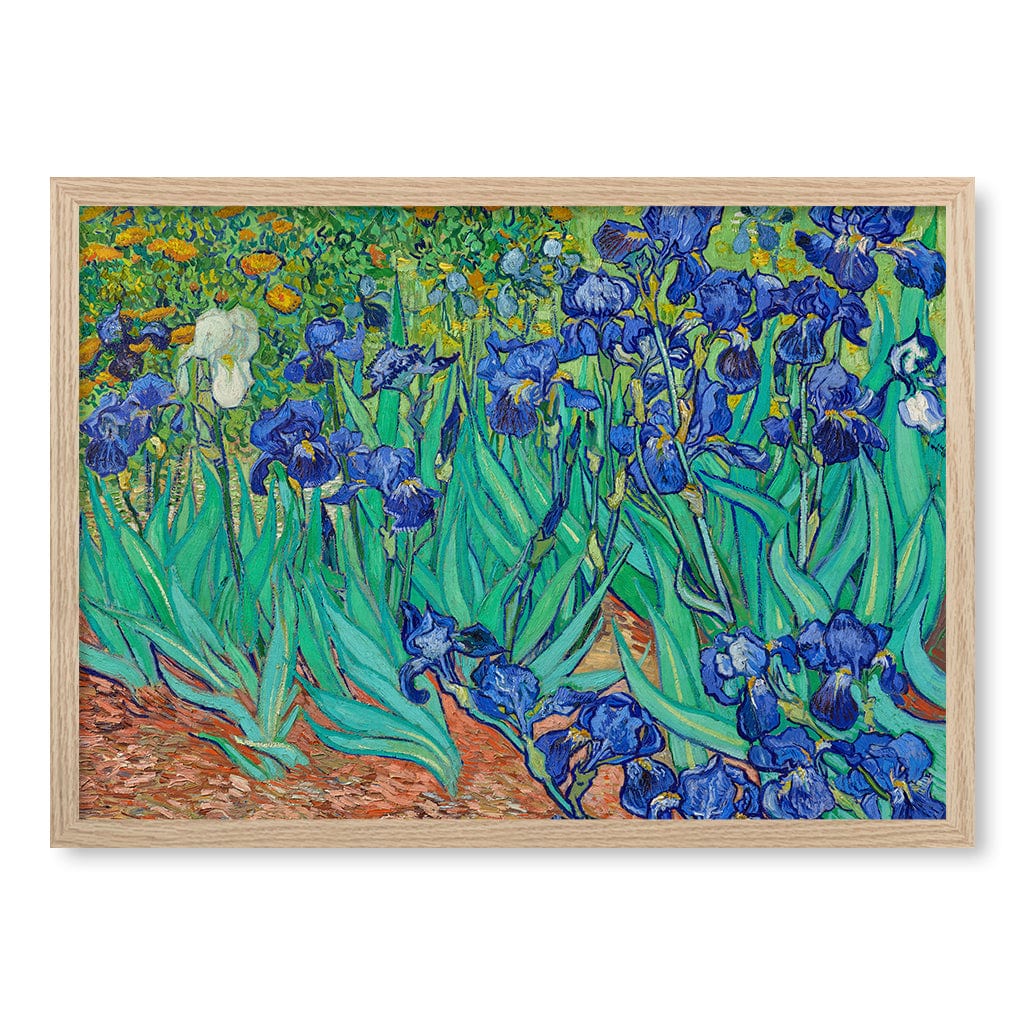 Irises - Vincent van Gogh Art Print - Image 20