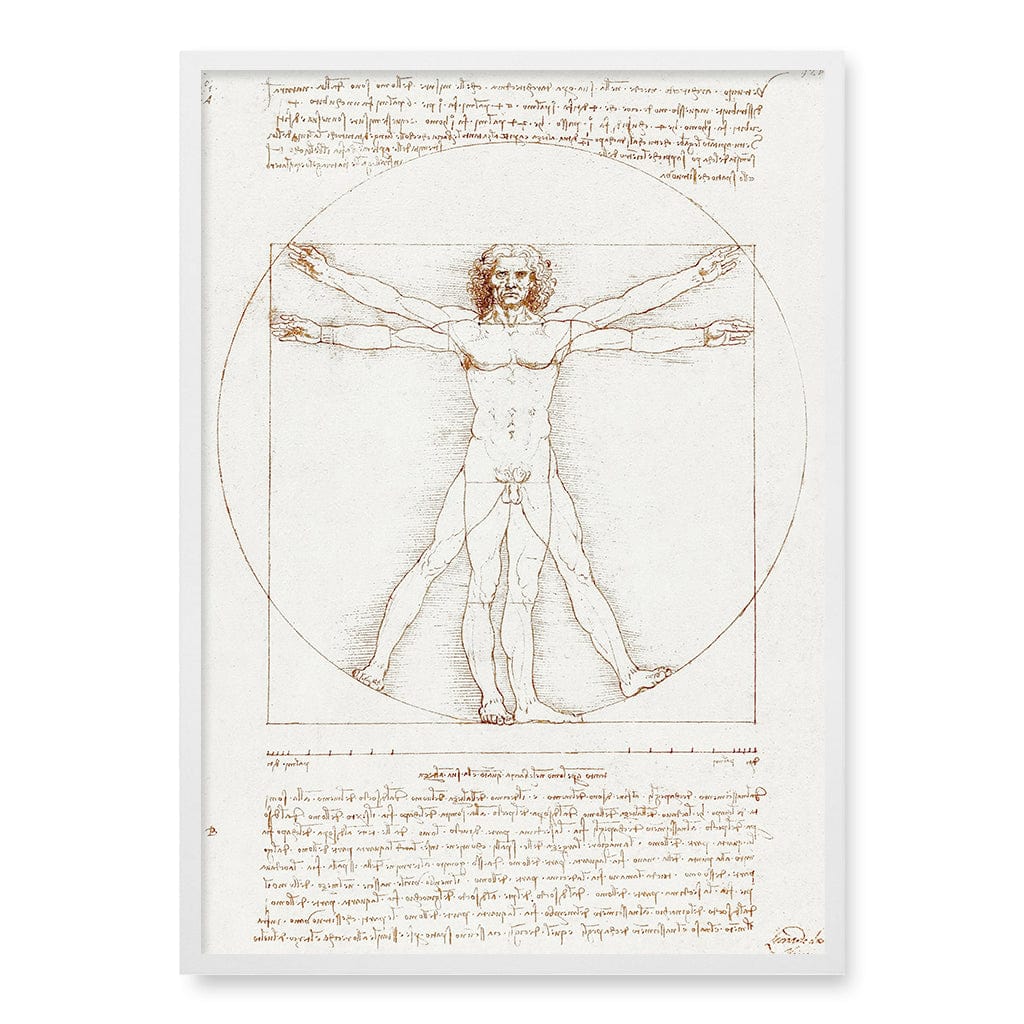 Vitruvian Man - Leonardo da Vinci Art Print - Image 11