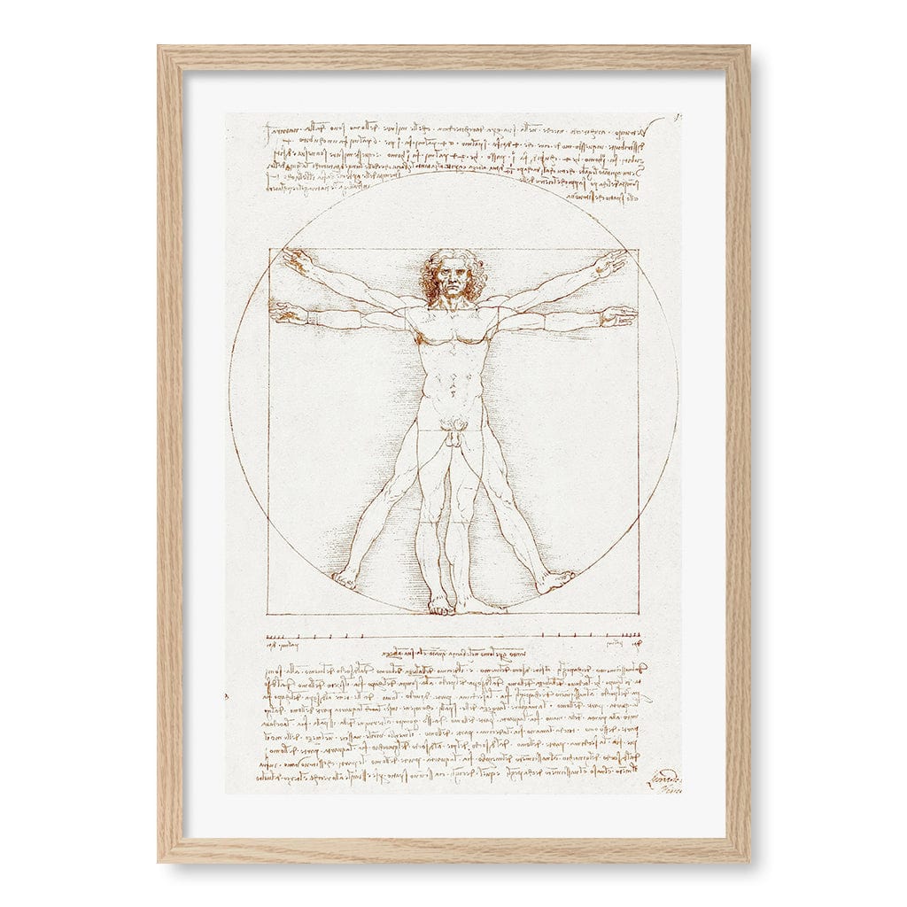 Vitruvian Man - Leonardo da Vinci Art Print - Image 18
