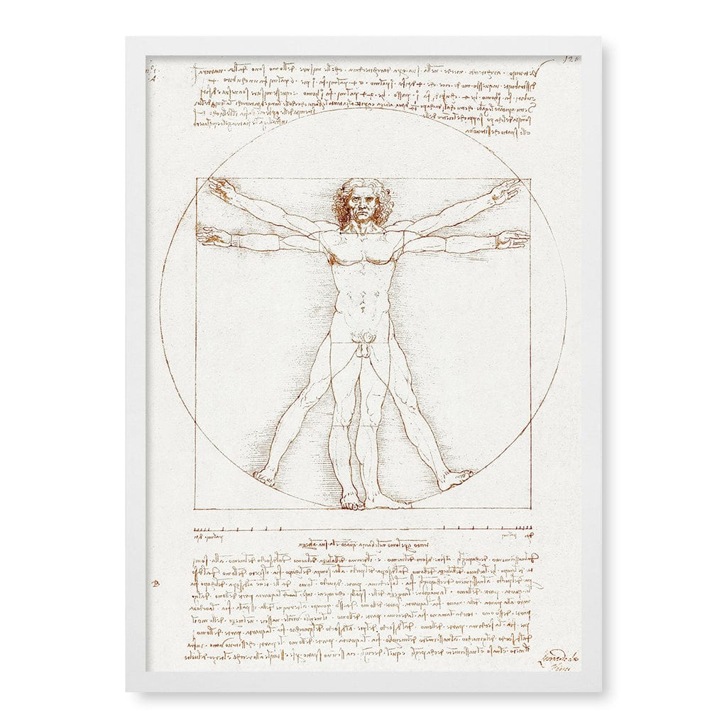 Vitruvian Man - Leonardo da Vinci Art Print - Image 21