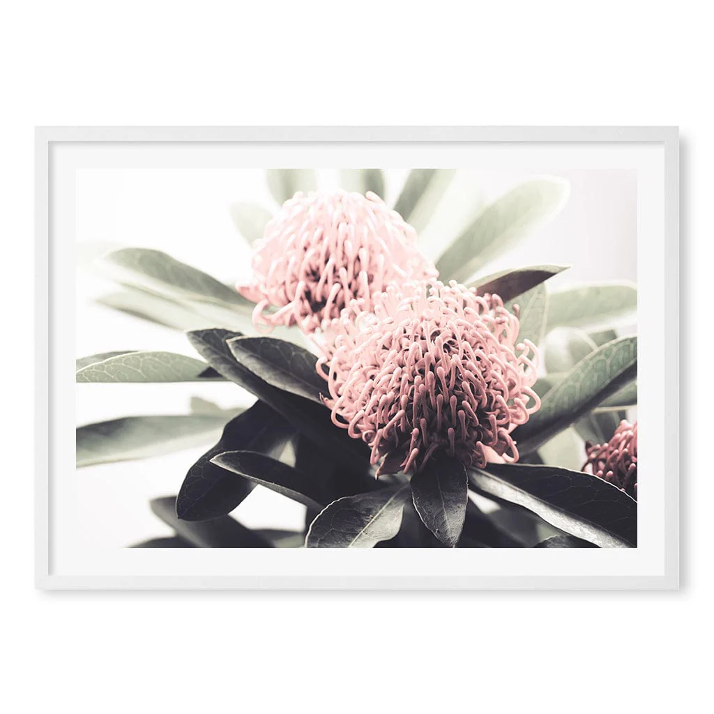 Waratah Flowers Wall Art Print - Image 11