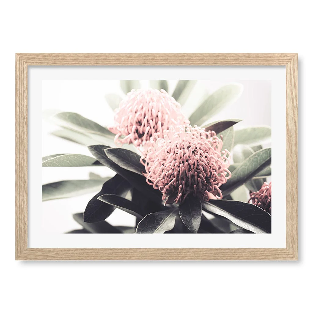 Waratah Flowers Wall Art Print - Image 20