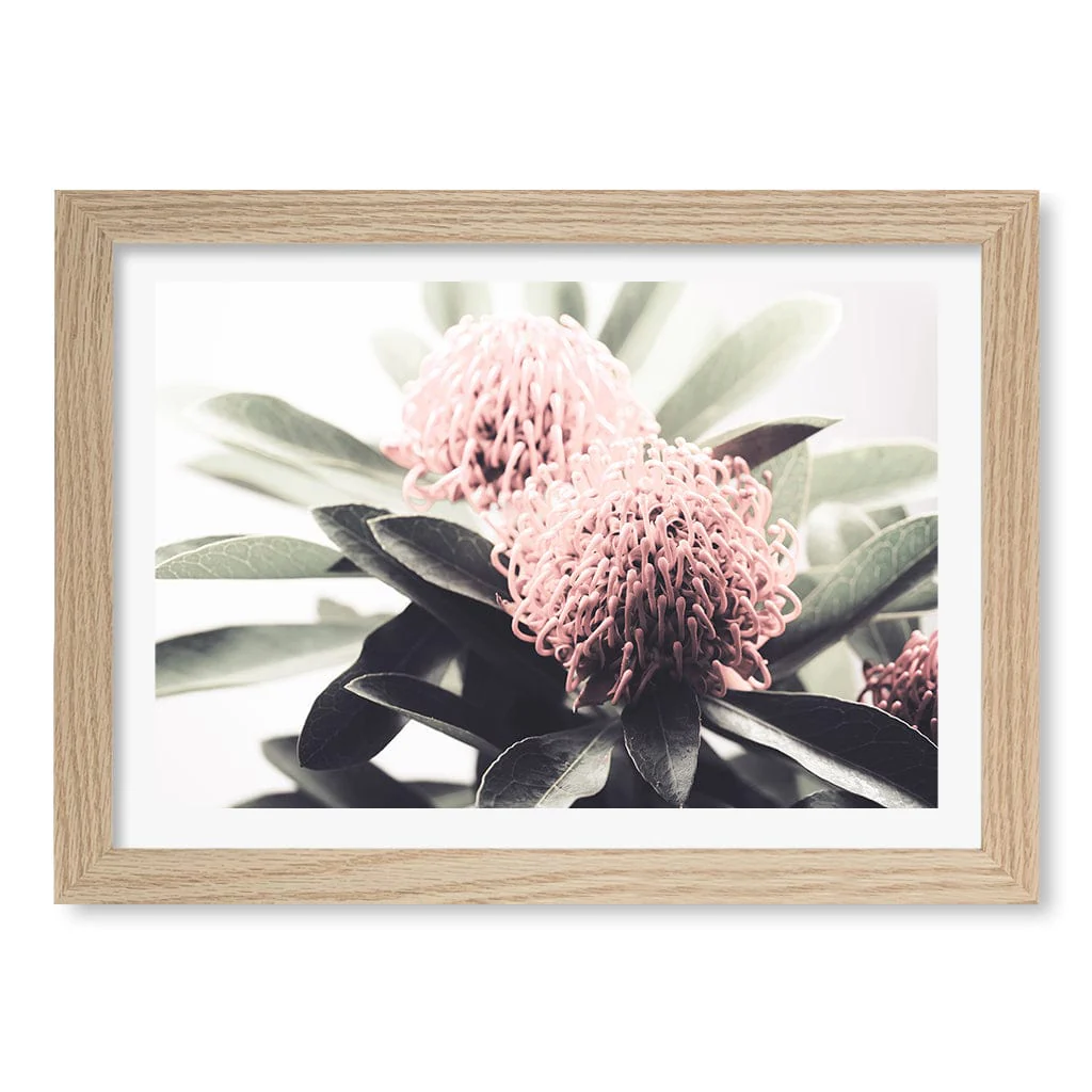 Waratah Flowers Wall Art Print - Image 21